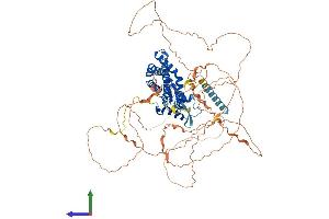 Protein Structure (PS) image for Zinc Finger, DHHC-Type Containing 8 (ZDHHC8) (AA 1-765) protein (His tag) (ABIN7556086)
