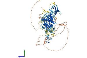 Protein Structure (PS) image for Protein Kinase D3 (PRKD3) (AA 1-890) protein (His tag) (ABIN7554393)