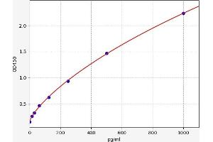 Urocortin (UCN) ELISA Kit
