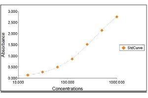 Standard Curve Graph (Lipocalin 2 ELISA 试剂盒)