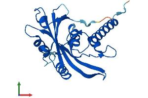 Protein Structure (PS) image for Nudix (Nucleoside Diphosphate Linked Moiety X)-Type Motif 16-Like 1 (NUDT16L1) (AA 1-211) protein (His tag) (ABIN7559926)