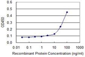 Detection limit for recombinant GST tagged PURA is approximately 10ng/ml as a capture antibody. (PURA 抗体  (AA 183-292))