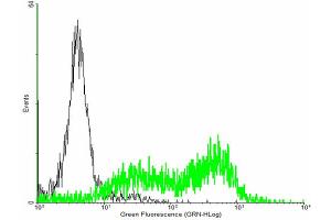 FACS analysis of negative control 293 cells (Black) and HFE expressing 293 cells (Green) using HFE purified MaxPab mouse polyclonal antibody. (HFE 抗体  (AA 1-348))