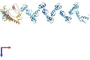 ZNF93 Protein (AA 1-620) (His tag)