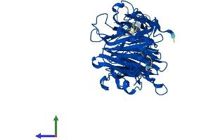 AlphaFold protein structure predicition of Mouse Recombinant Hgd Protein, UniprotID O09173
