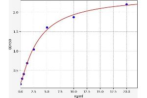Typical standard curve (SULT1E1 ELISA 试剂盒)