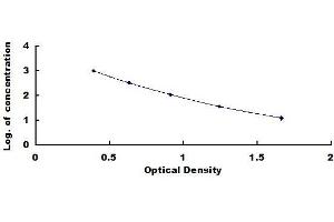 Typical standard curve