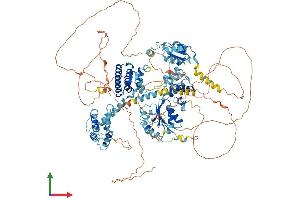 AlphaFold protein structure predicition of Mouse Recombinant Rfc1 Protein, UniprotID P35601