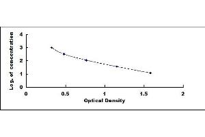 Typical standard curve (Adrenomedullin ELISA 试剂盒)