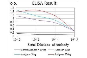Black line: Control Antigen (100 ng), Purple line: Antigen(10 ng), Blue line: Antigen (50 ng), Red line: Antigen (100 ng), (CD74 抗体  (AA 1-106))