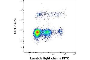 Flow cytometry multicolor surface staining of human lymphocytes stained using anti-human Lambda Light Chain (1-155-2) FITC antibody (4 μL reagent / 100 μL of peripheral whole blood) and anti-human CD19 (LT19) APC antibody (10 μL reagent / 100 μL of peripheral whole blood). (Lambda-IgLC 抗体  (FITC))