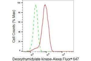 Flow cytometric analysis of Deoxythymidylate kinase expression in HeLa cells using Deoxythymidylate kinase antibody (ABIN7798311), 1:2,000). (Recombinant DTYMK 抗体)