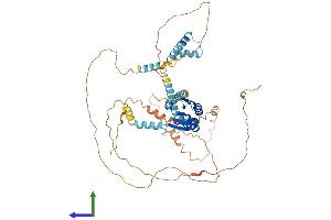 Protein Structure (PS) image for Nuclear Receptor Coactivator 5 (NCOA5) (AA 1-579) protein (His tag) (ABIN7560008)