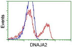 HEK293T cells transfected with either RC202204 overexpress plasmid (Red) or empty vector control plasmid (Blue) were immunostained by anti-DNAJA2 antibody (ABIN2452950), and then analyzed by flow cytometry. (DNAJA2 抗体)