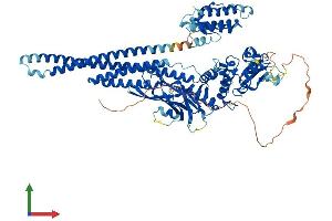Protein Structure (PS) image for Signal Transducer and Activator of Transcription 5B (STAT5B) (AA 1-787) protein (His tag) (ABIN7555657)
