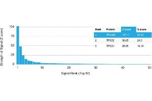 Analysis of Protein Array containing more than 19,000 full-length human proteins using Tryptase Mouse Monoclonal Antibody (TPSAB1/1961). (TPSAB1 抗体  (AA 115-233))
