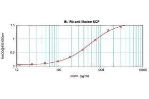 Image no. 2 for anti-KIT Ligand (KITLG) antibody (Biotin) (ABIN465801) (KIT Ligand 抗体  (Biotin))