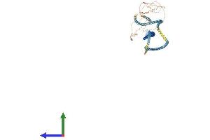Protein Structure (PS) image for Synaptonemal Complex Protein 1 (SYCP1) (AA 1-993) protein (His tag) (ABIN7563952)