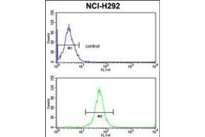Flow Cytometry (FACS) image for anti-Exportin, tRNA (Nuclear Export Receptor For TRNAs) (XPOT) (AA 935-962), (C-Term) antibody (ABIN391953)