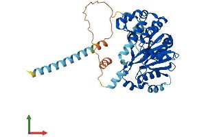 Protein Structure (PS) image for UDP-N-Acetyl-alpha-D-Galactosamine:polypeptide N-Acetylgalactosaminyltransferase-Like 5 (GALNTL5) (AA 1-443) protein (His tag) (ABIN7548072)