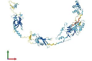 Protein Structure (PS) image for EF-Hand Domain (C-terminal) Containing 2 (EFHC2) (AA 1-749) protein (His tag) (ABIN7547308)