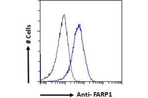 Flow Cytometry (FACS) image for anti-FERM, RhoGEF (ARHGEF) and Pleckstrin Domain Protein 1 (Chondrocyte-Derived) (FARP1) (N-Term) antibody (ABIN185104)