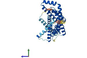 Protein Structure (PS) image for CMP-Sialic Acid Transporter (CMPST) (AA 1-336) protein (His tag) (ABIN7557703)