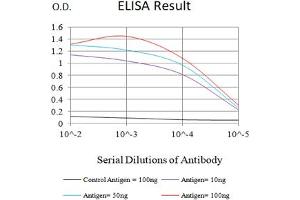 Black line: Control Antigen (100 ng),Purple line: Antigen (10 ng), Blue line: Antigen (50 ng), Red line:Antigen (100 ng) (ACRV1 抗体  (AA 22-265))