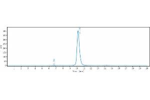 The purity of Anti-AA2AR / Adenosine A2aR Reference Antibody (3F6-9G5) is 98.