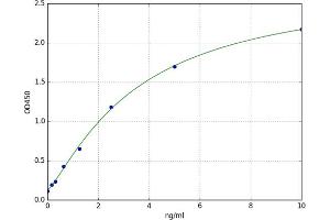 A typical standard curve (FAM20C ELISA 试剂盒)