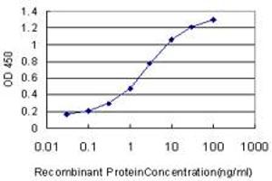 Detection limit for recombinant GST tagged MED8 is approximately 0. (MED8 抗体  (AA 1-59))