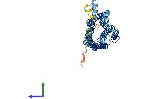 Protein Structure (PS) image for G Protein-Coupled Receptor 12 (GPR12) (AA 1-334) protein (His tag) (ABIN7563172)