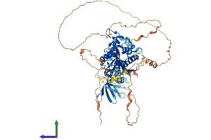 Protein Structure (PS) image for Exonuclease 3'-5' Domain Containing 1 (EXD1) (AA 1-570) protein (His tag) (ABIN7564541)