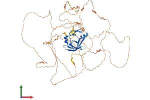 Protein Structure (PS) image for Ataxin 1-Like (ATXN1L) (AA 1-689) protein (His tag) (ABIN7552621)