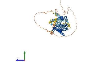 Protein Structure (PS) image for Solute Carrier Family 10 (Sodium/bile Acid Cotransporter Family), Member 4 (SLC10A4) (AA 1-437) protein (His tag) (ABIN7549877)