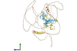 Protein Structure (PS) image for ZIC2 (ZIC2) (AA 1-532) protein (His tag) (ABIN7556076)