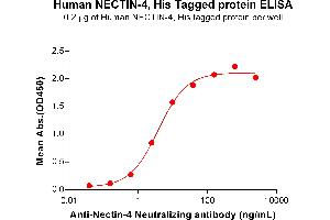 ELISA image for Poliovirus Receptor-Related 4 (PVRL4) (AA 32-349) protein (His tag) (ABIN6964194)