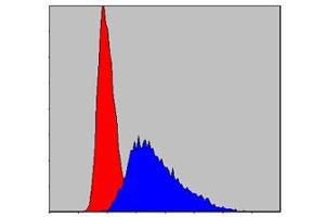 Flow cytometric analysis of Jurkat cells using ITK monoclonal antibody, clone 5G6  (blue) and negative control (red) . (ITK 抗体)