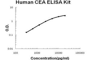 Human CEA PicoKine ELISA Kit standard curve (CEACAM5 ELISA 试剂盒)