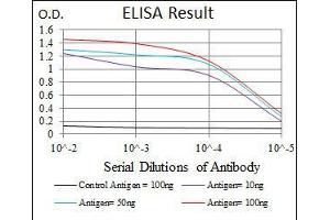 Black line: Control Antigen (100 ng), Purple line: Antigen(10 ng), Blue line: Antigen (50 ng), Red line: Antigen (100 ng), (PRKACG 抗体)