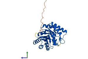 Protein Structure (PS) image for CutC Copper Transporter Homolog (CUTC) (AA 1-272) protein (His tag) (ABIN7561140)