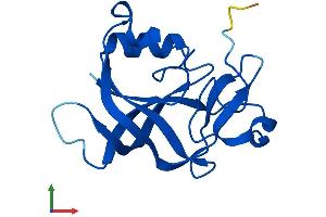 Protein Structure (PS) image for gamma-Glutamylamine Cyclotransferase (GGACT) (AA 1-149) protein (His tag) (ABIN7560246)