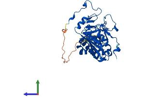 Protein Structure (PS) image for Histo-blood group A transferase (ABO) (AA 1-354) protein (His tag) (ABIN7552735)