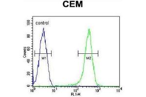 COX10 Antibody (C-term) flow cytometric analysis of CEM cells (right histogram) compared to a negative control cell (left histogram). (COX10 抗体  (C-Term))