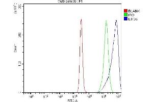 Flow Cytometry analysis of K562 cells using anti-EIF3C antibody (ABIN7602528).