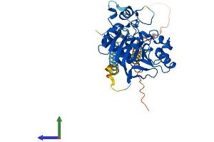 Protein Structure (PS) image for ST6 (Alpha-N-Acetyl-Neuraminyl-2,3-beta-Galactosyl-1,3)-N-Acetylgalactosaminide alpha-2,6-Sialyltransferase 4 (ST6GALNAC4) (AA 1-360) protein (His tag) (ABIN7556233)