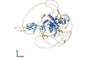 AlphaFold protein structure predicition of Human Recombinant CTDP1 Protein, UniprotID Q9Y5B0