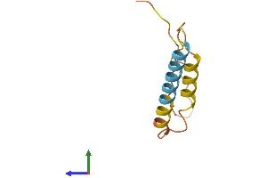 AlphaFold protein structure predicition of Human Recombinant BCE1 Protein, UniprotID O60756 (TLE4 Protein (AA 1-84) (Fc Tag))
