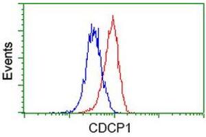 Image no. 2 for anti-CUB Domain Containing Protein 1 (CDCP1) antibody (ABIN1497411) (CDCP1 抗体)