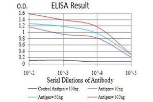 Black line: Control Antigen (100 ng),Purple line: Antigen (10 ng), Blue line: Antigen (50 ng), Red line:Antigen (100 ng) (RUNX3 抗体  (AA 294-429))